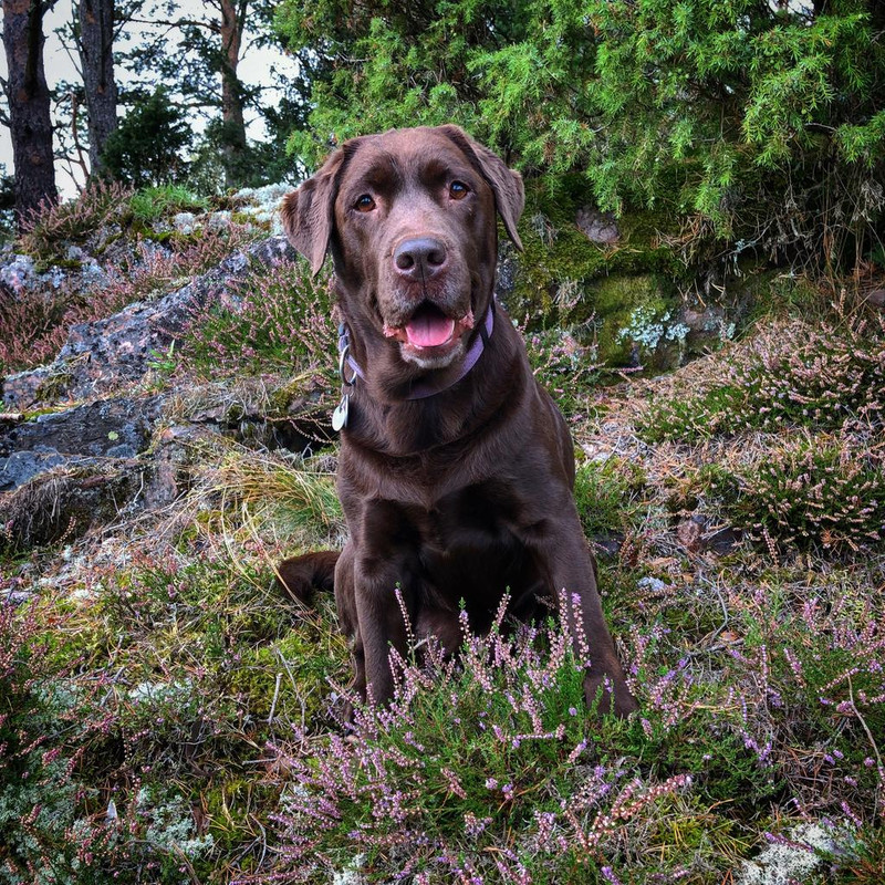 007ECFFA-C8B8-4E17-9F1D-9D71B65F756A