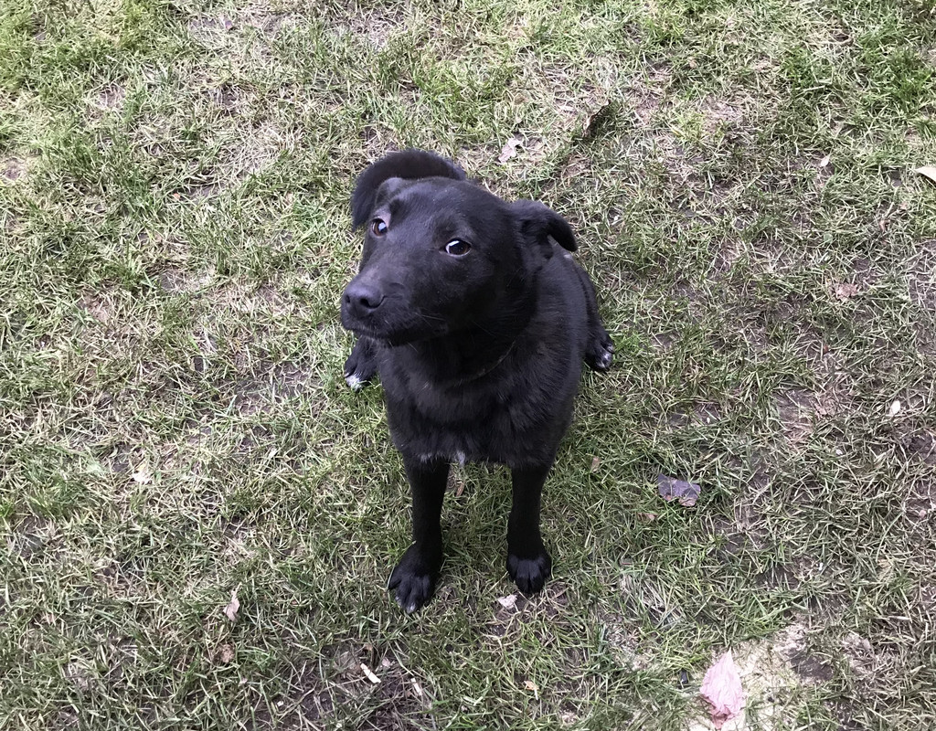 286E624F-19DB-4545-9CFD-0A42960410BE