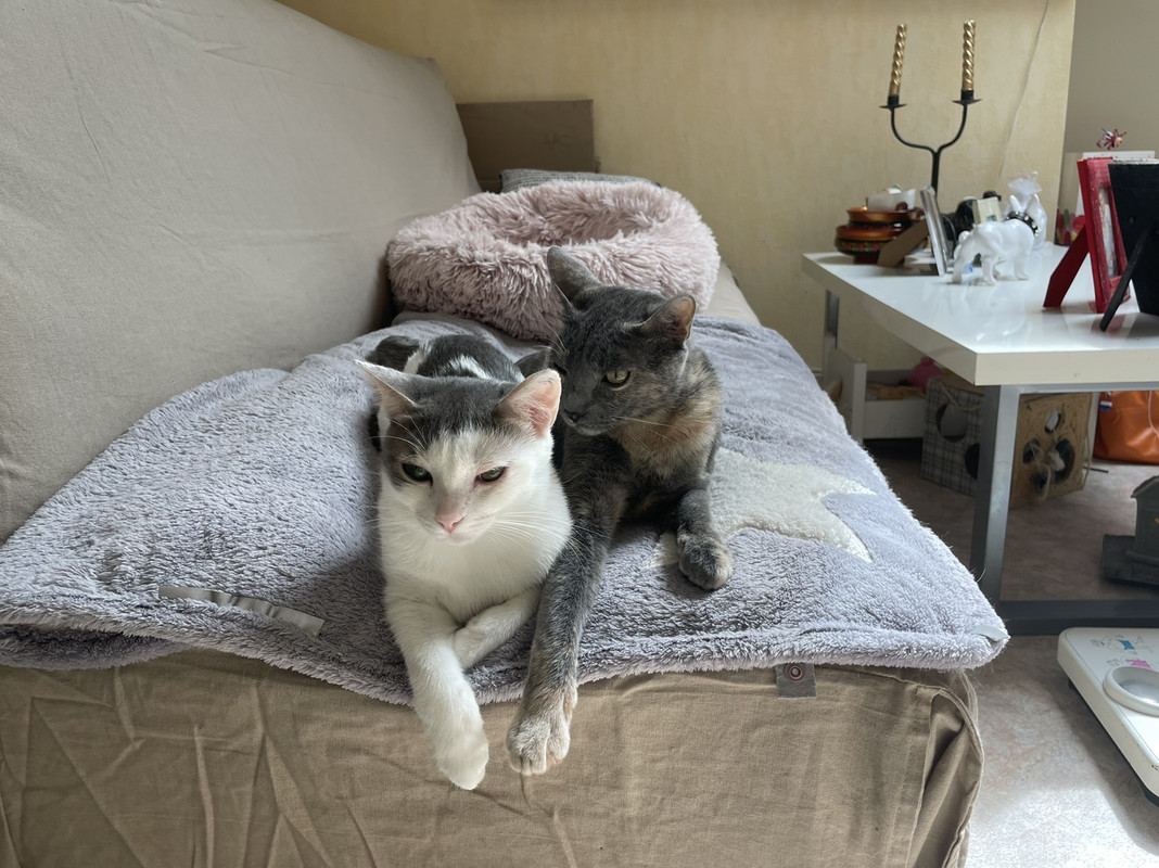 8018AEF6-669D-424A-96F0-F2572742997A