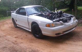 mstang.jpg