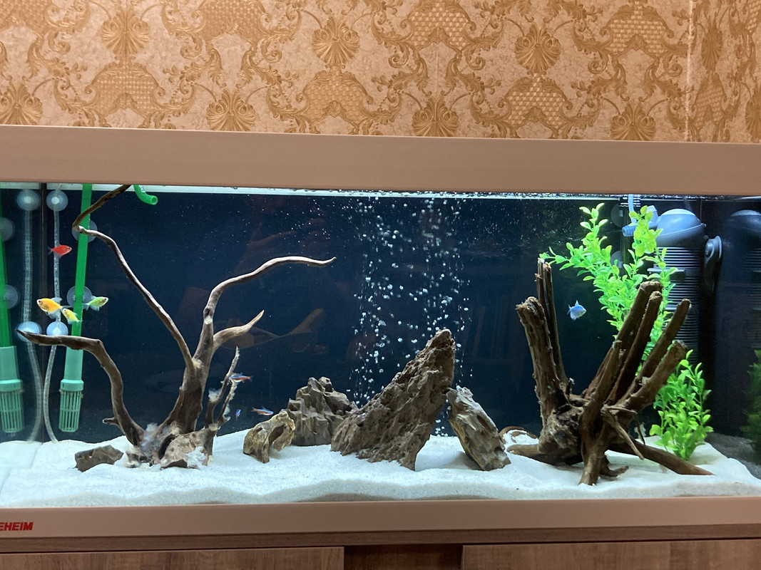 DC573A1F-D3CA-4C21-8113-B3384ADA72CE