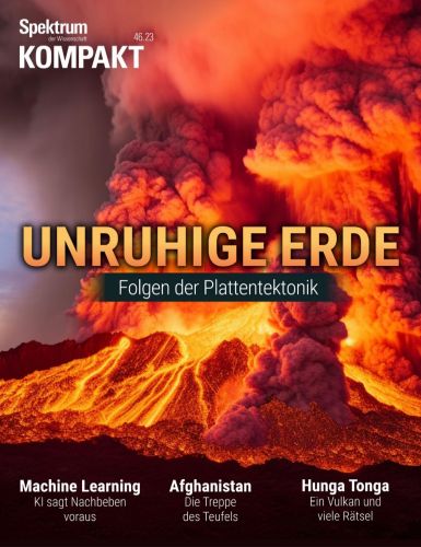 Cover: Spektrum der Wissenschaft Kompakt No 46 vom 21  November 2023