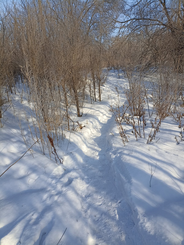 IMG_20230201_122658