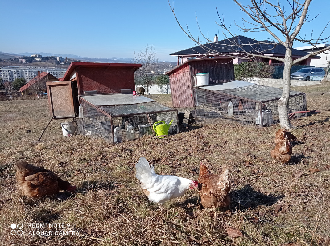 IMG_20220213_114056[1]