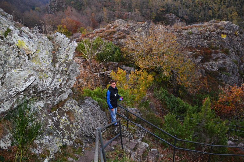 Navarra y sus pueblos-2015 - Blogs de España - Selva de Irati-14-11-2015 (115)