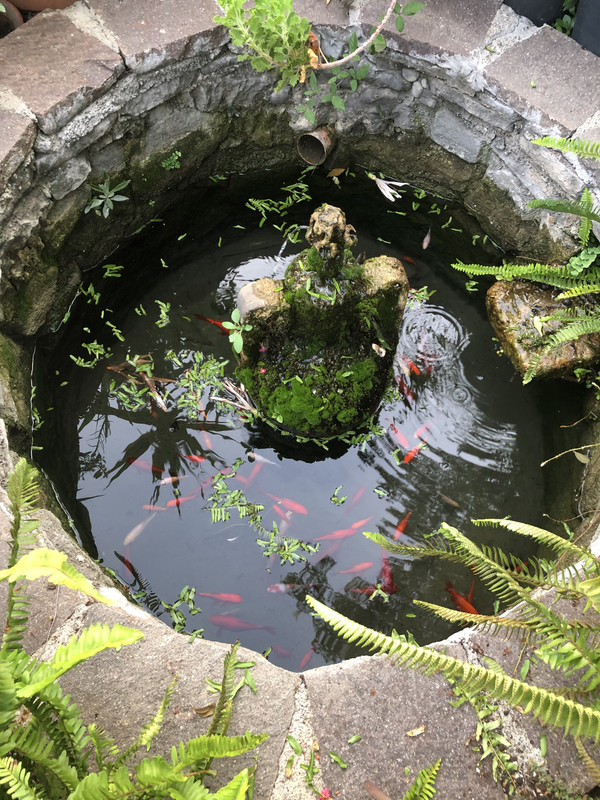 7E42D3CC-D2DD-4385-820F-8724E9BC96DC