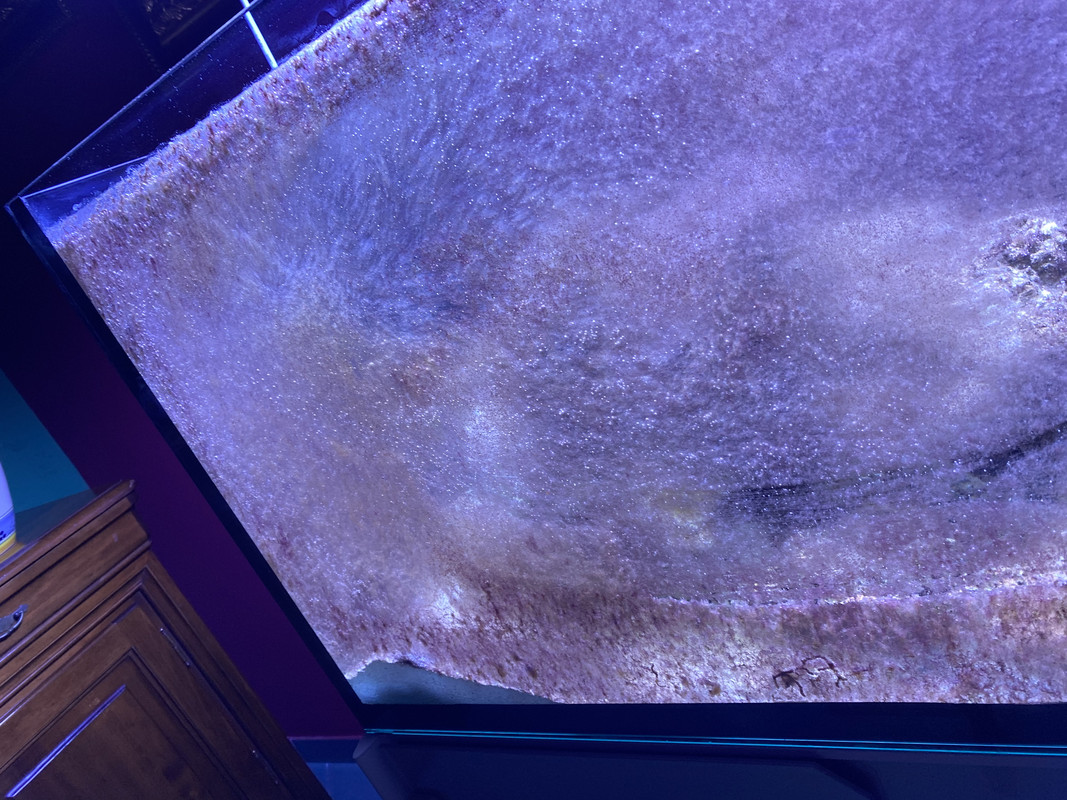 BFA54700-0891-484A-AFC4-58459D065C9A