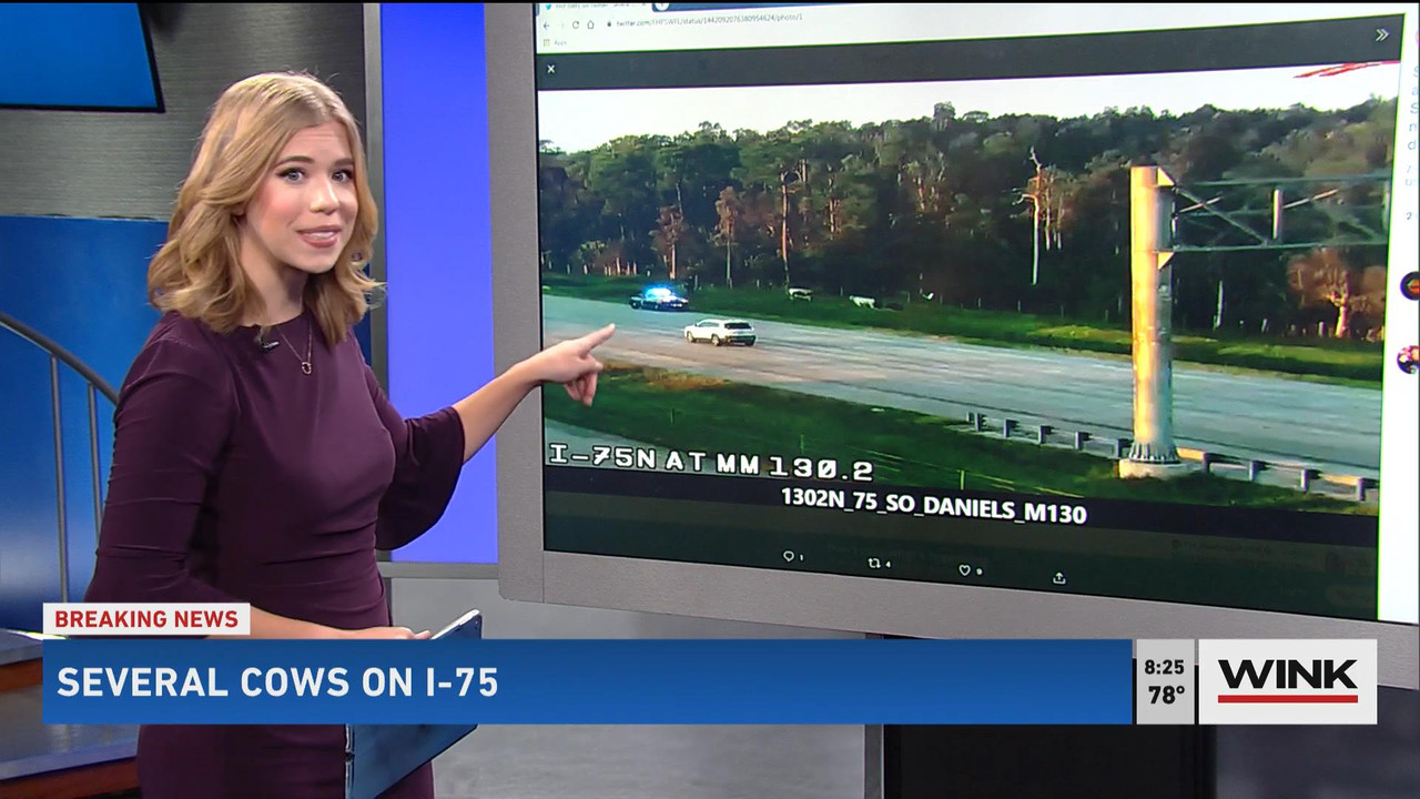 09.26 - 11.00.00 - WINK News @ 6 00AM Sunday. Local news, sports and ..._001.ts_snapshot_01.08.41_[2