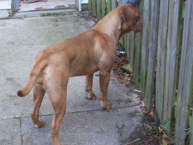 Picture901a.jpg