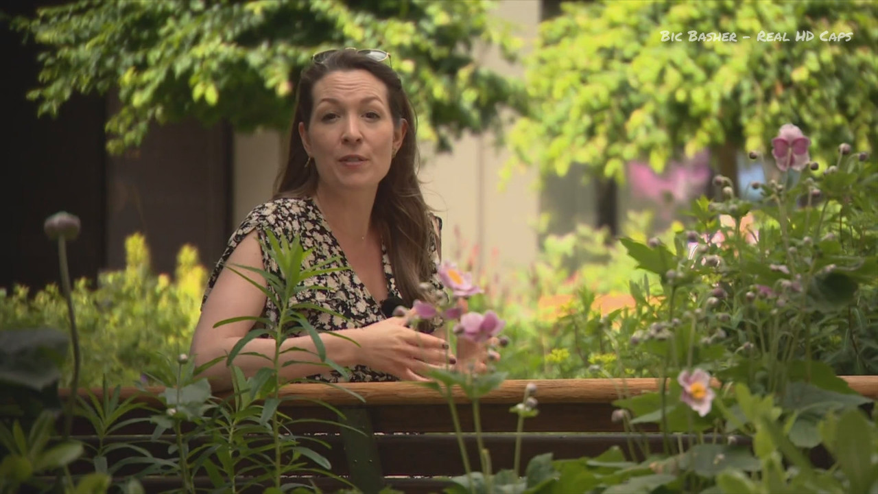 BBC London News_20250627_18301900.ts_snapshot_05.55.619