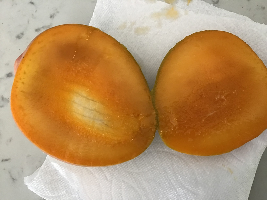 50FA0B68-B5E1-4A6A-BAC6-F0E7716F6B2D