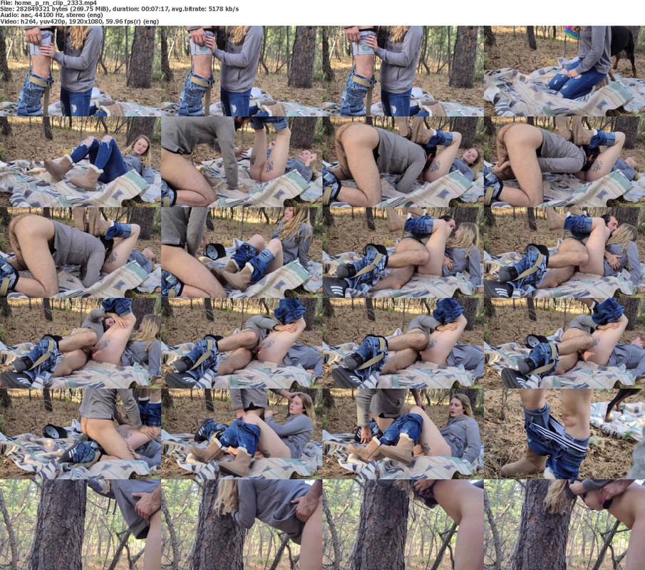 25112024114734screenshot
