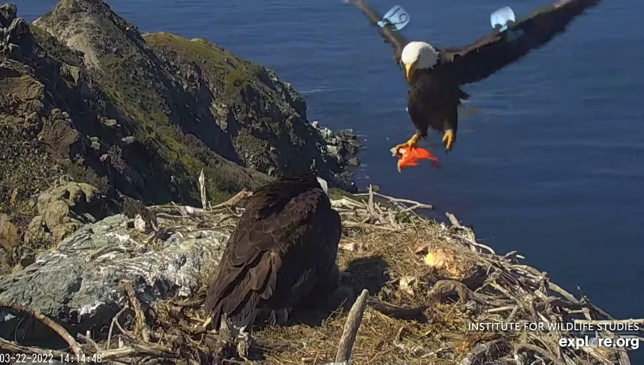 93F585F2-1905-4E1D-8CAB-D40A66300D79