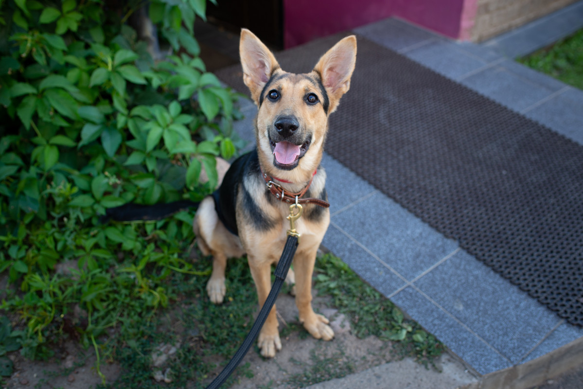 C4842133-AAE7-4BD8-882B-0AF2CD154F05