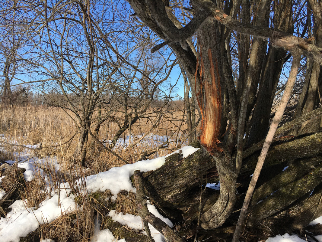 EBDEED86-C011-43BB-9F50-9F82E9E2FCB8