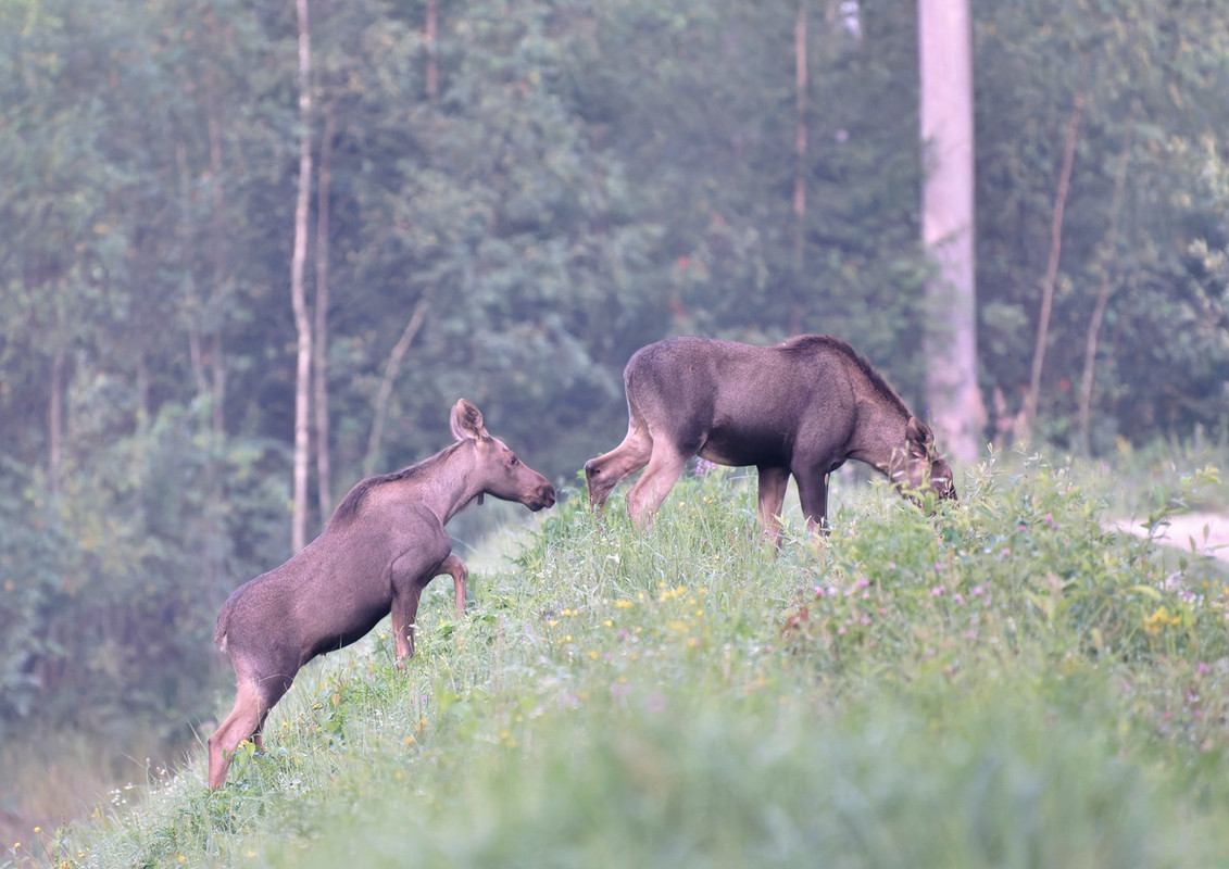 _K2wvd8OziVBPIIm1RjbVowVY7xV2gYx42Xw9Cnlwpm3omgEb5MQktb6r-Q_W4sUFlltm_DK06e4qUNLKc2qLuqC