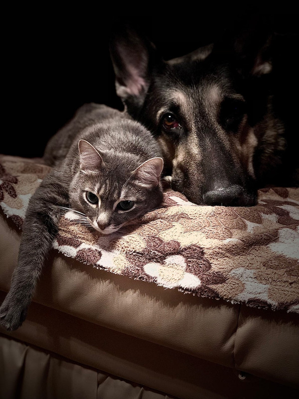 BzzLk_M8JtGv81Fpe8eIEFucorgTFYNzBHA_lnvPxml8nrLVnGROo4qIcVuFIThpPYxU4kXjgJScR5gnalr5KwId