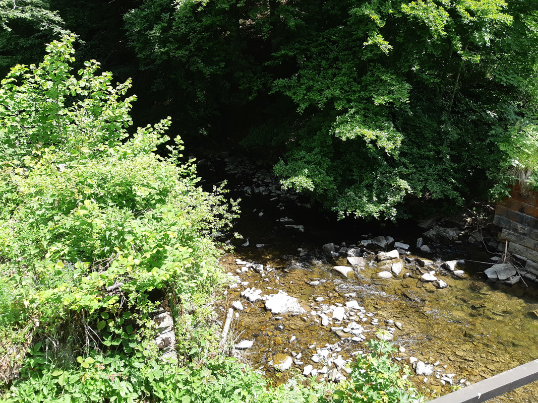 02.06b - 20220616_120624 (PiTT)