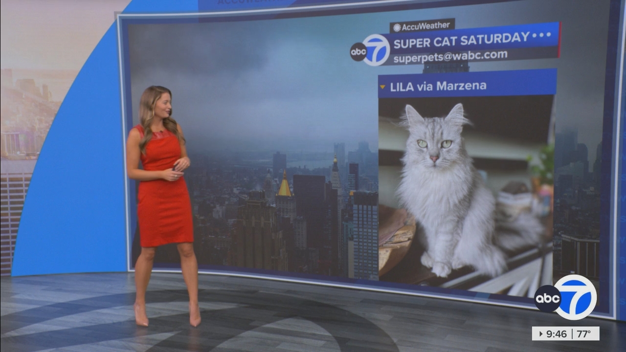 Eyewitness News This Morning_20250906_14001500.ts_snapshot_46.42.356