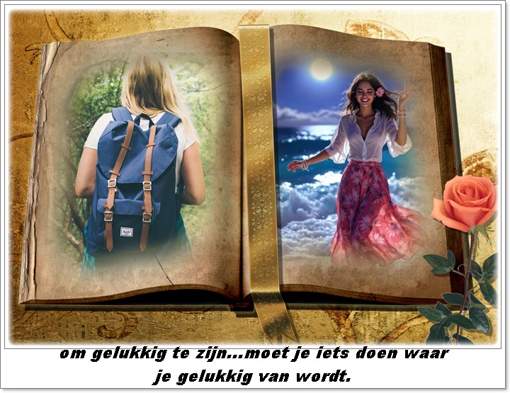 Klik op de afbeelding om de link te volgen