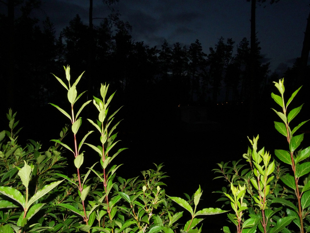 15.19 - DSC07469 (Czesio1)