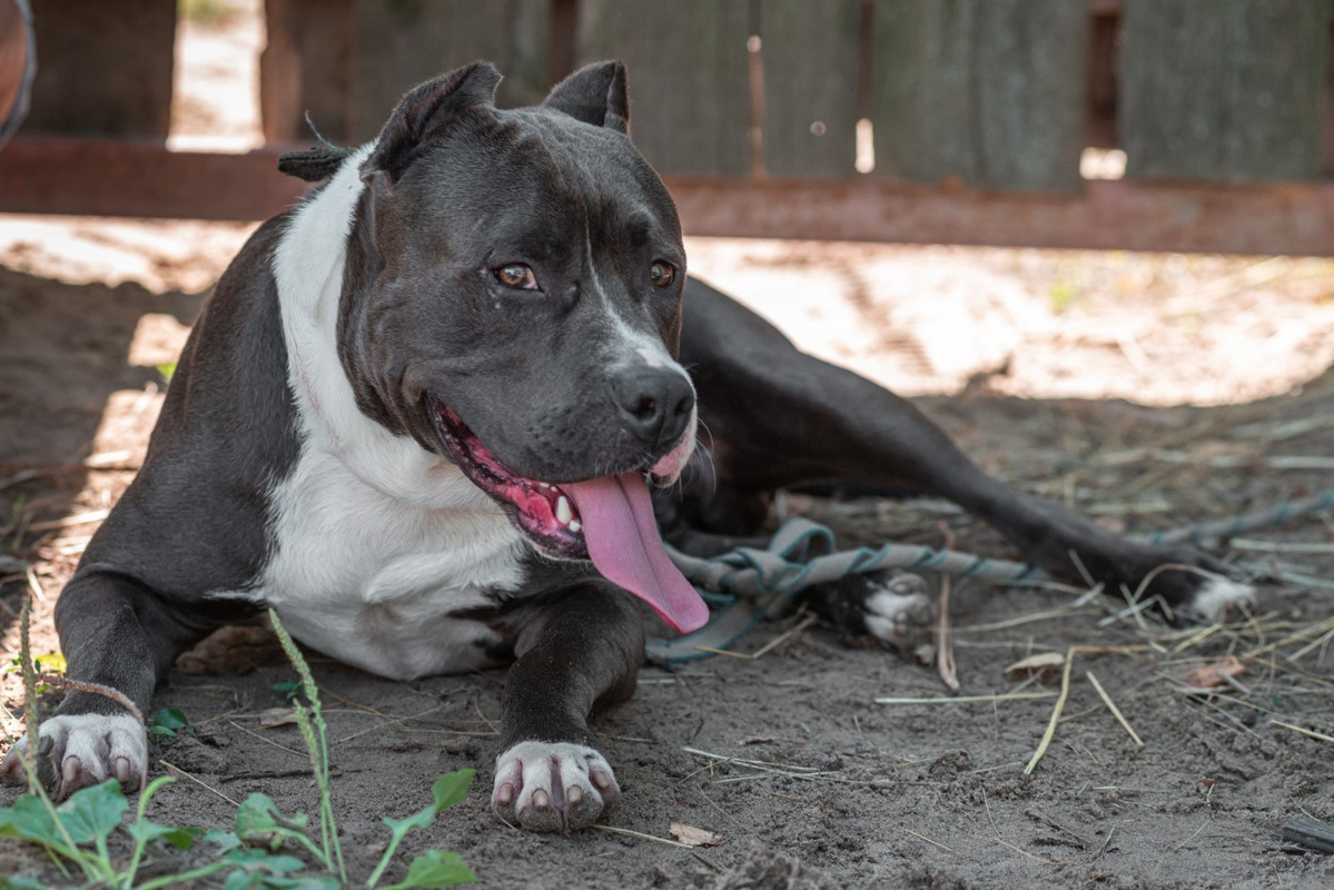 WhatsApp Image 2022-08-14 at 18.05.25 (3)