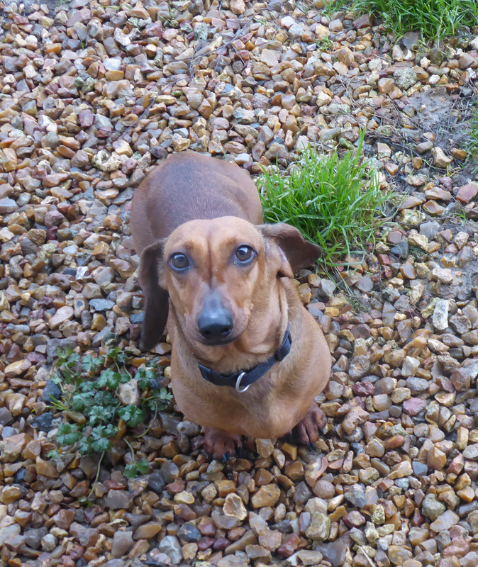 [Image: P1040189.jpg]