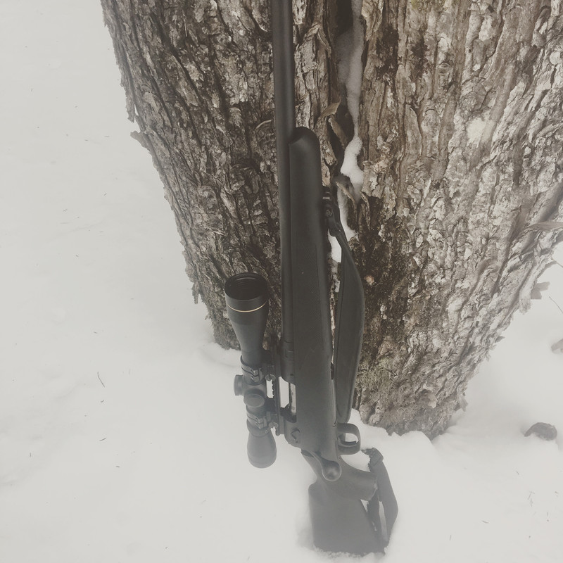 F6FCA5CB-30EF-40A6-B637-7123926CF593