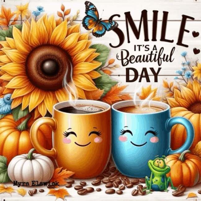 An den Beitrag angehängtes Bild: https://i.postimg.cc/QMxmMcNy/oie-781262G1QLu4I.gif