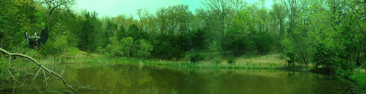 AI 2025 APR Heron (3)