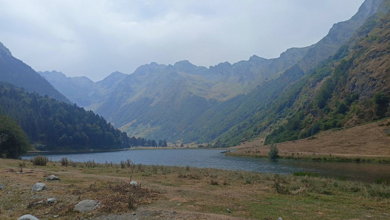 IMG20250818145928 (Large)