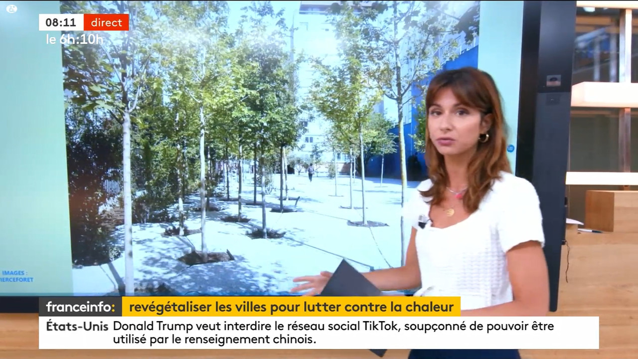 08.01 - 10.27.00 - Franceinfo  et tout est plus clair. Pas de descrip....ts_snapshot_12.05.173
