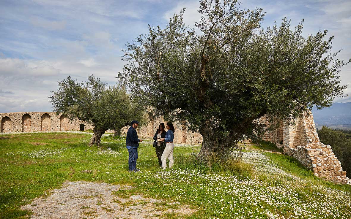 [Image: o-IMG-5672-Kalamata-Geysignosia-elaiolad...poulou.jpg]