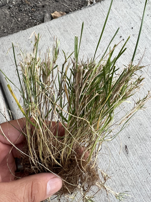 1B50A680-B5DE-4C00-9F29-9CA4BAB49B24