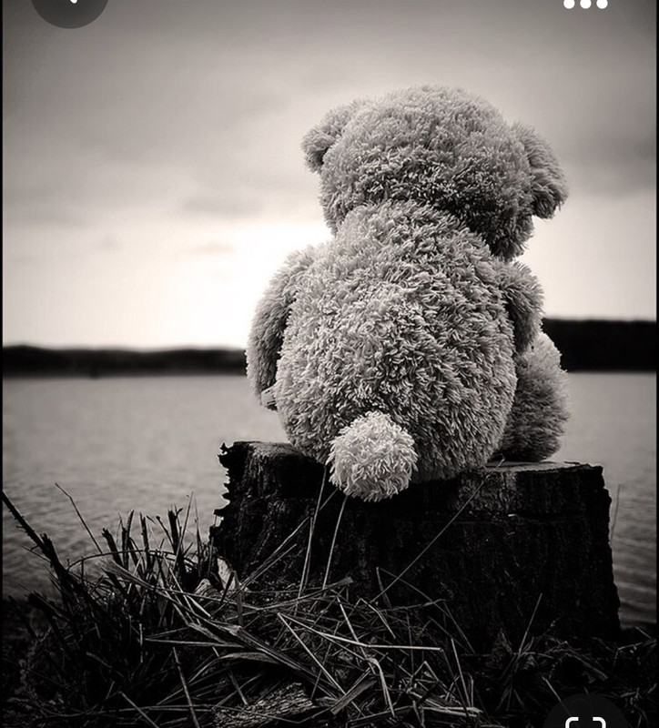 Screenshot_20231024_202745_Pinterest