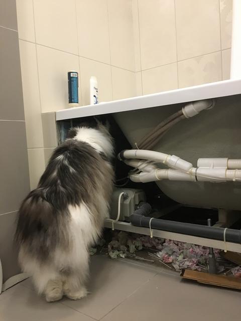 816619_D8-94_CB-478_C-_BD44-_F51365_CBCF