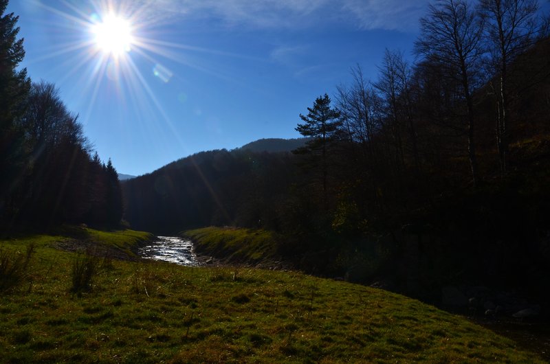 SELVA DE IRATI-14-11-2015-NAVARRA - Paseando por España-1991/2015-Parte-1 (76)