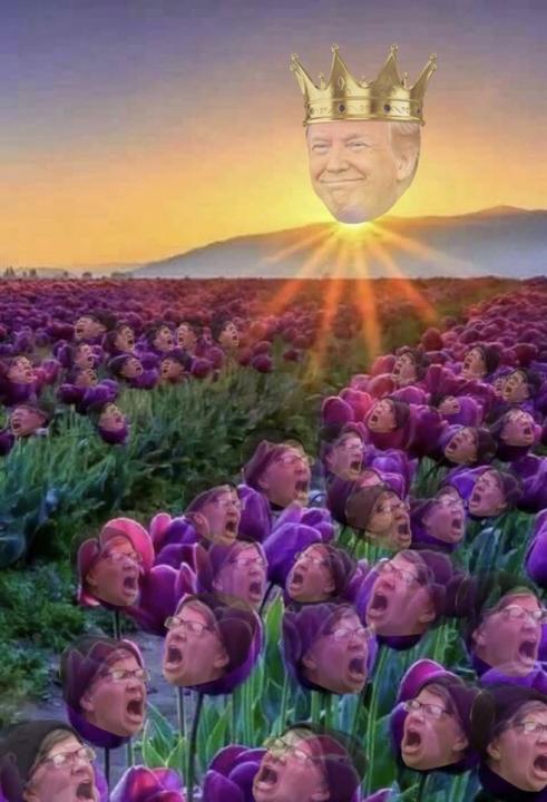 donaldo.jpg