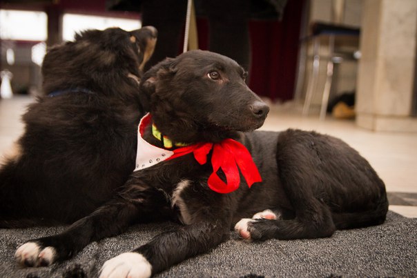 B257FCB3-5ECB-466C-9044-15B0709F5A3A