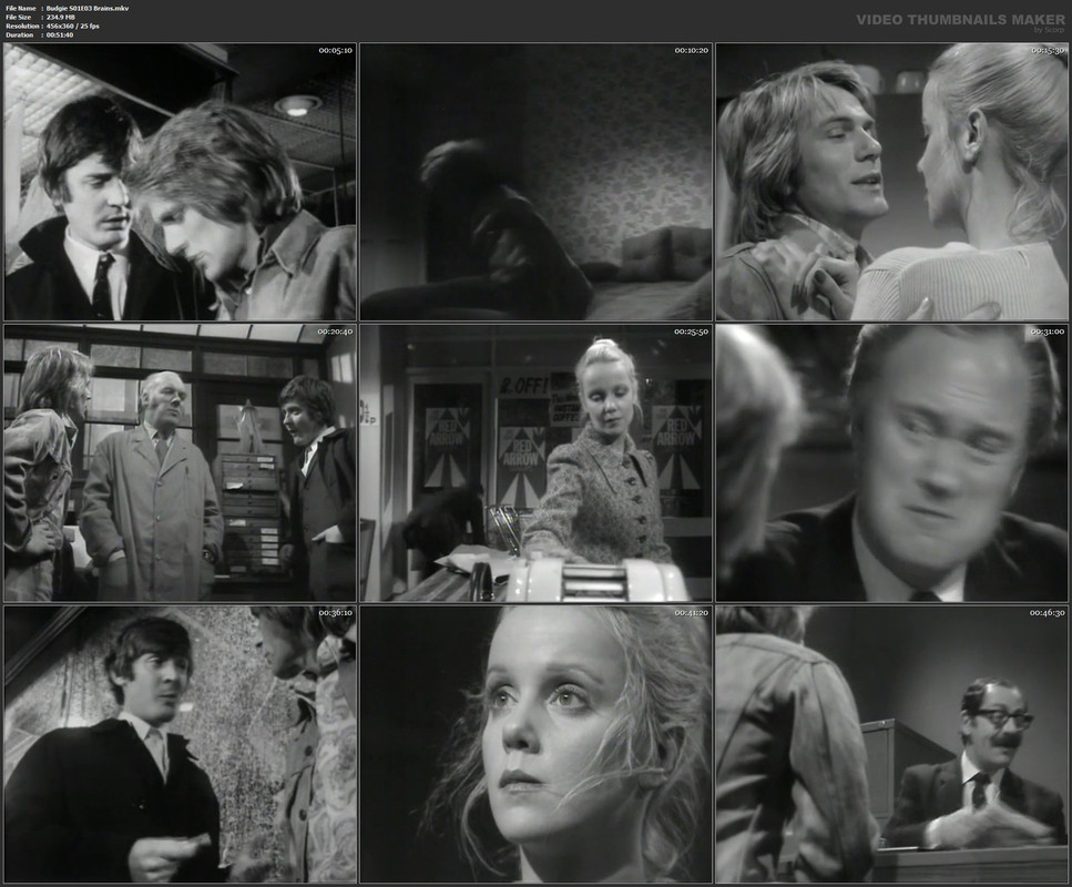 Budgie S01E03 Brains.mkv