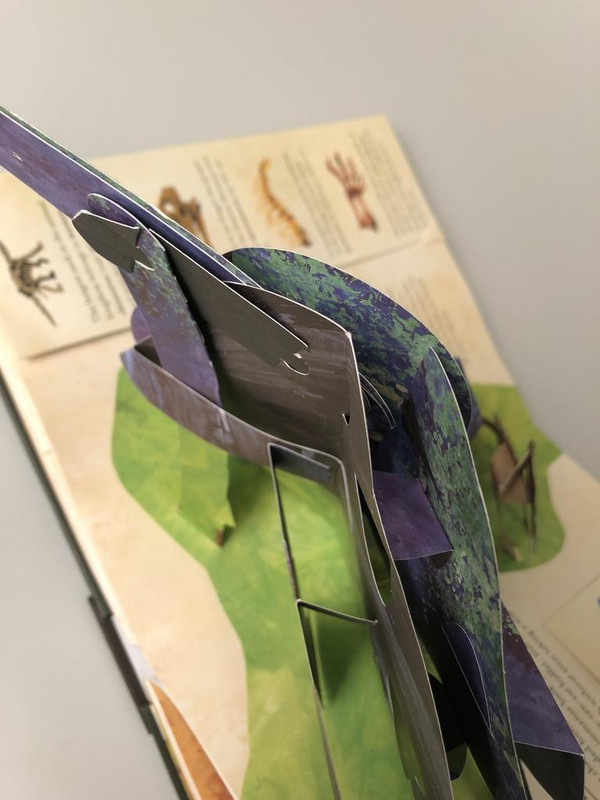 1610CD78-F617-4F7D-A6DA-1B795CA1CAA9