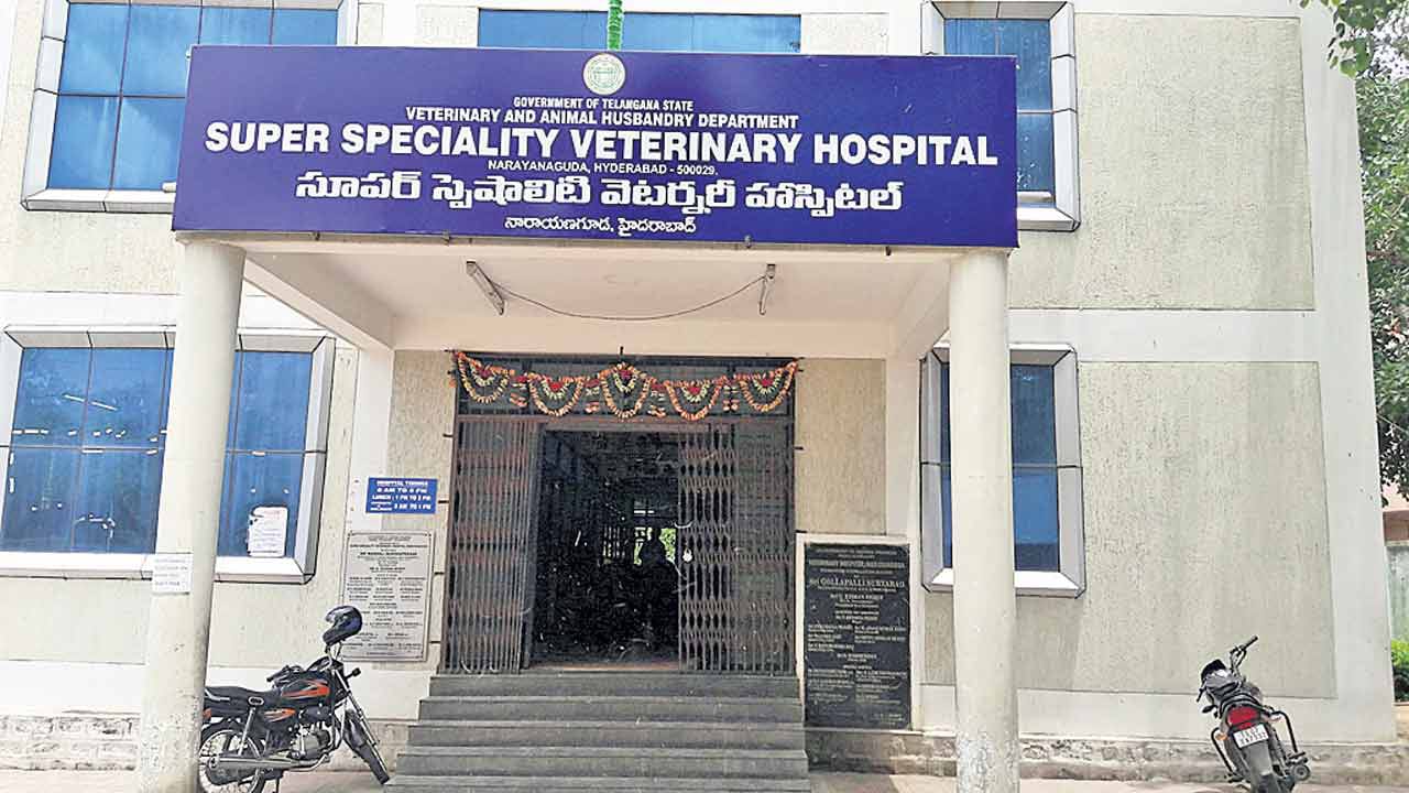 Pet Hospital