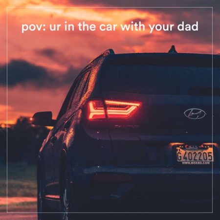 VA - pov ur in the car with your dad (2022)