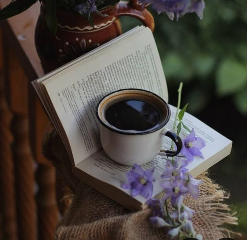 Screenshot_20240721_212340_Pinterest