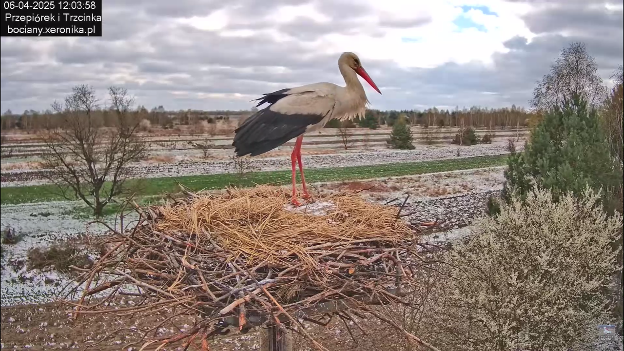 06042025minutazbocianem_14