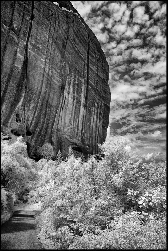 _DSC5059_00001_final_silver_efex_24_small