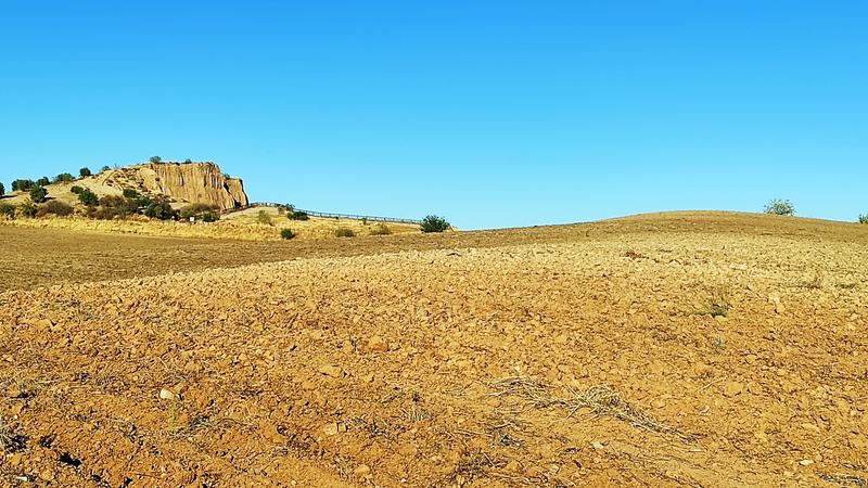 Barrancas de Burujón-2015/2025 - Toledo y sus pueblos-1996/2026 (63)