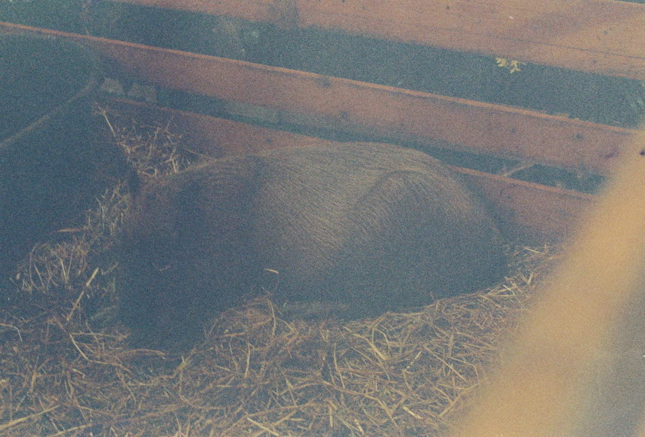 Vision3-250D-Spot-54