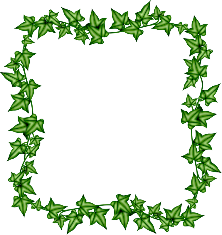 Frame1