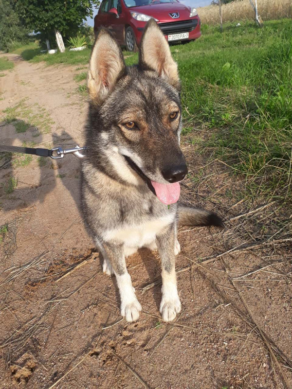 изображение_viber_2019-07-27_20-35-30